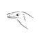 hand drawn, sketch illustration of Komodo dragon. varan vector sketch illustration