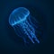 Hand drawn sketch isolated jellyfish, marine animals