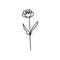 Hand drawn and sketch lotus flower isolate on white background. A flower similar to a water lily on a stem with leaves. Botanical