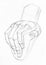 Hand-drawn sketch of plaster cast of male hand