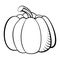 Hand drawn sketch pumpkin. Organic vegetarian food