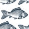 Hand drawn sketch seafood background. Vector seamless pattern with fish. Vintage carp illustration. Can be use for menu