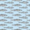 Hand drawn sketch seafood background. Vector seamless pattern with fish. Vintage mullet and sprat illustration. Can be