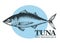 Hand drawn sketch seafood vector vintage illustration of tuna fish. Can be use for menu or packaging design. Engraved