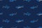 Hand drawn sketch shark seamless pattern illustration. Ink drawing aggressive marine fish stickers on blue background. Vector