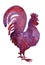 Hand drawn sketch silhouette of a purple rooster isolated on white back ground