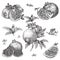 Hand drawn sketch style pomegranates set. Pomegranates with seeds and leafs. Sketch style vector illustration. Organic