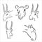 Hand drawn sketch style saiga antelope isolated on white background. Vector illustration.