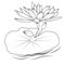 hand drawn sketch water lily drawing, lily pad water lily drawing, simple lily pad drawing, simple easy water lily drawing