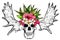 Hand drawn skull with deer horns and flowers. Vector