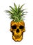 Hand Drawn skull fruit pineapple illustration vector.