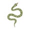 Hand drawn snake clipart. Tropical or Wild West poison viper in the top view. Green dangerous serpent isolated on