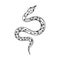 Hand drawn snake doodle with outline. Tropical or Wild West poison viper in the top view. Green dangerous serpent