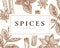 Hand Drawn Spices Illustration Card. Abstract Vector Anise, Cinnamon and Mint Sketch Background with Classy Retro