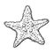 Hand drawn starfish, underwater living organism, sketch style vector illustration