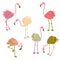 Hand drawn strawberry flamingo collection. Perfect for T-shirt, poster, stickers and print. Doodle vector illustration