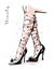 Hand drawn stylish female legs in shoes. Woman legs with spotted sheer tulle socks. Fashion sketch.