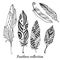 Hand drawn stylized feathers vector collection. Set of doodle tribal feathers. Cute zentangle feather for your design.