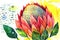 Hand drawn stylized watercolor illustration of protea flower on decorative textured background