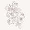 Hand drawn summer vintage beige bouquet: rustic Roses, line art.
