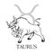 Hand drawn Taurus. Zodiac symbol in vintage gravure or sketch style. Old-fashioned bull animal in attack pose. Retro astrology con