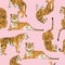 Hand drawn tiger seamless pattern, big cats in different position, orange tigers on pink, exotic background, flat vector