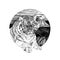 Hand drawn tiger, sketch graphics monochrome illustration on white background