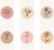 Hand drawn trendy template for social networks stories and posts line contour daisy, chamomile, poppy, rose.