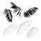 Hand drawn  tropical summer design element: black and line palm tree leaves