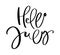 Hand drawn typography lettering text Hello July. Isolated on the white background. Fun calligraphy for greeting and