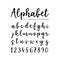 Hand drawn vector alphabet. Brush script font. Isolated lower case letters and numbers written with marker or ink