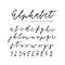 Hand drawn vector alphabet. Signature script font. Isolated letters written with marker, ink. Calligraphy, lettering.