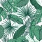 Hand drawn vector background - Palm leaves monstera, areca palm