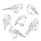 Hand drawn vector birds line art set. Cute little creatures isolated