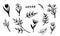 Hand drawn vector collection of herbs