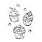Hand drawn vector graphic sweet food design elements collection set with hand made modern graphic cupcakes with berries