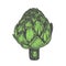Hand drawn vector illustration of artichoke sketch style. Green doodle vegetable