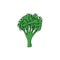 Hand drawn vector illustration of a broccoli in single line style. Cute llustration of a vegetable on a white background