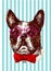 Hand drawn vector illustration bulldog. Sketch style dog.