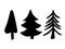 Hand drawn vector illustration of different forest tree