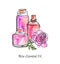 Hand drawn vector illustration of glass jars and bottles with Rose essential oil.