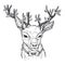 Hand-drawn vector illustration. Hipster deer with red bow