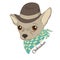 Hand drawn vector illustration of hipster dog for cards, t-shirt print, placard. Fashion portrait of chihuahua dog wearing hat