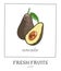 Hand drawn vector illustration of isolated avocado. Bright color