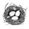 Hand drawn vector illustration - nest with Easter eggs. Happy Ea