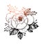 Hand drawn vector illustration - Peony flower. Floral Tattoo sketch. Perfect for tattooing, invitations, greeting