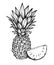 Hand drawn vector illustration - Pineapple. Exotic tropical fruit. Sketch. Outline. Perfect for