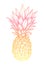 Hand drawn vector illustration - Pineapple. Exotic tropical fruit. Sketch. Outline. Perfect for tattooing, invitations, greeting