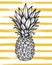 Hand drawn vector illustration - Pineapple with striped background. Exotic tropical fruit. Sketch. Outline. Perfect for