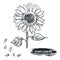 Hand drawn vector illustration set of monochrome sunflower, grain, seed. sketch. Vector eps 8